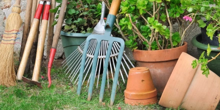 Підготовка саду та городу до весни: базові інструменти для старту сезону