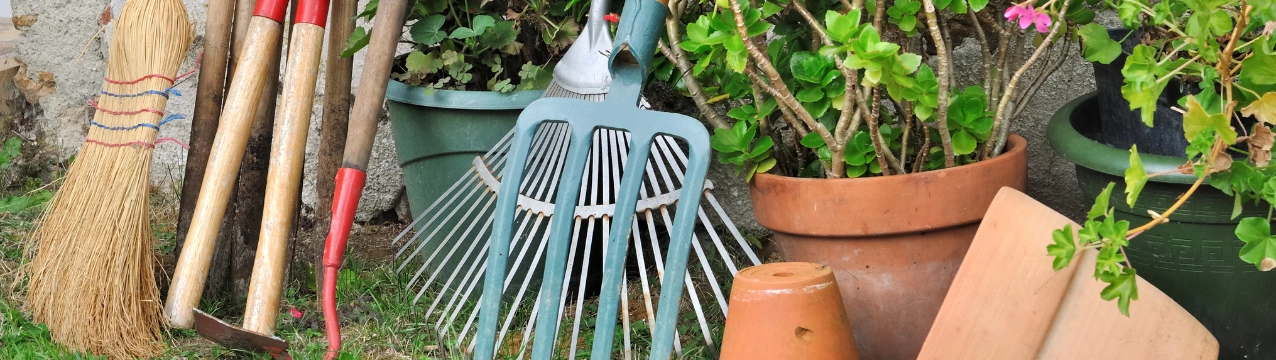 Підготовка саду та городу до весни: базові інструменти для старту сезону