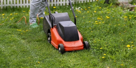 Як підготувати газон до весни: інструменти для ідеальної трави