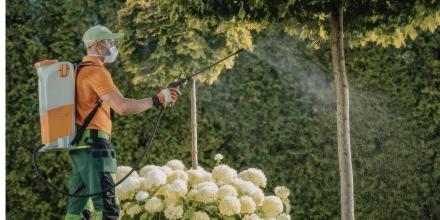 Обробка саду від шкідників: які інструменти дійсно працюють