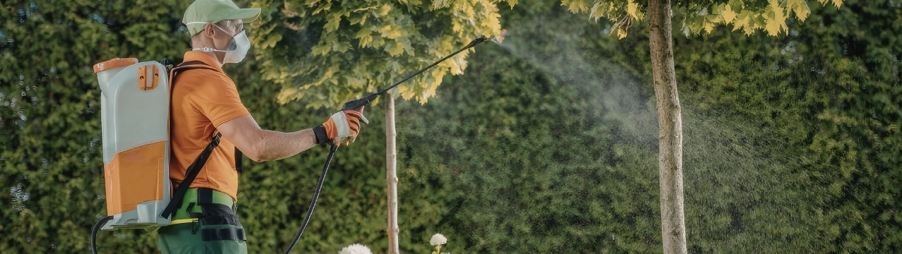 Обробка саду від шкідників: які інструменти дійсно працюють