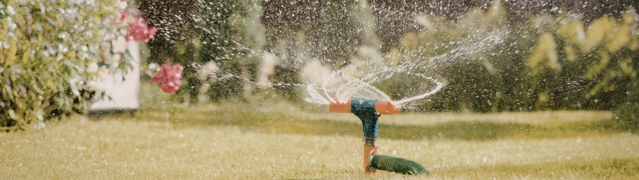 Системи поливу на ділянці: від шланга до повноцінного набору